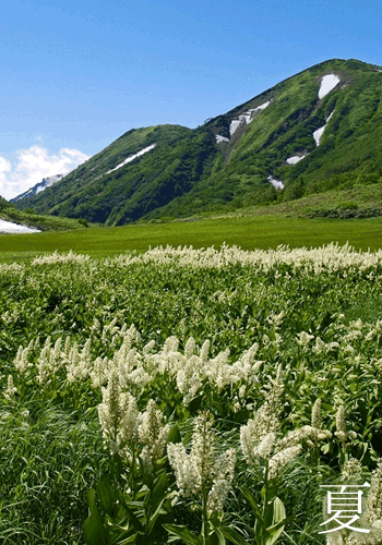 夏