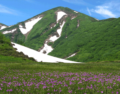 火打山