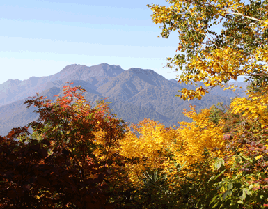 高妻山