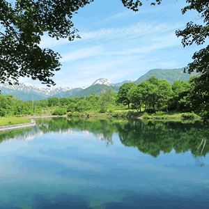 清水ケ池