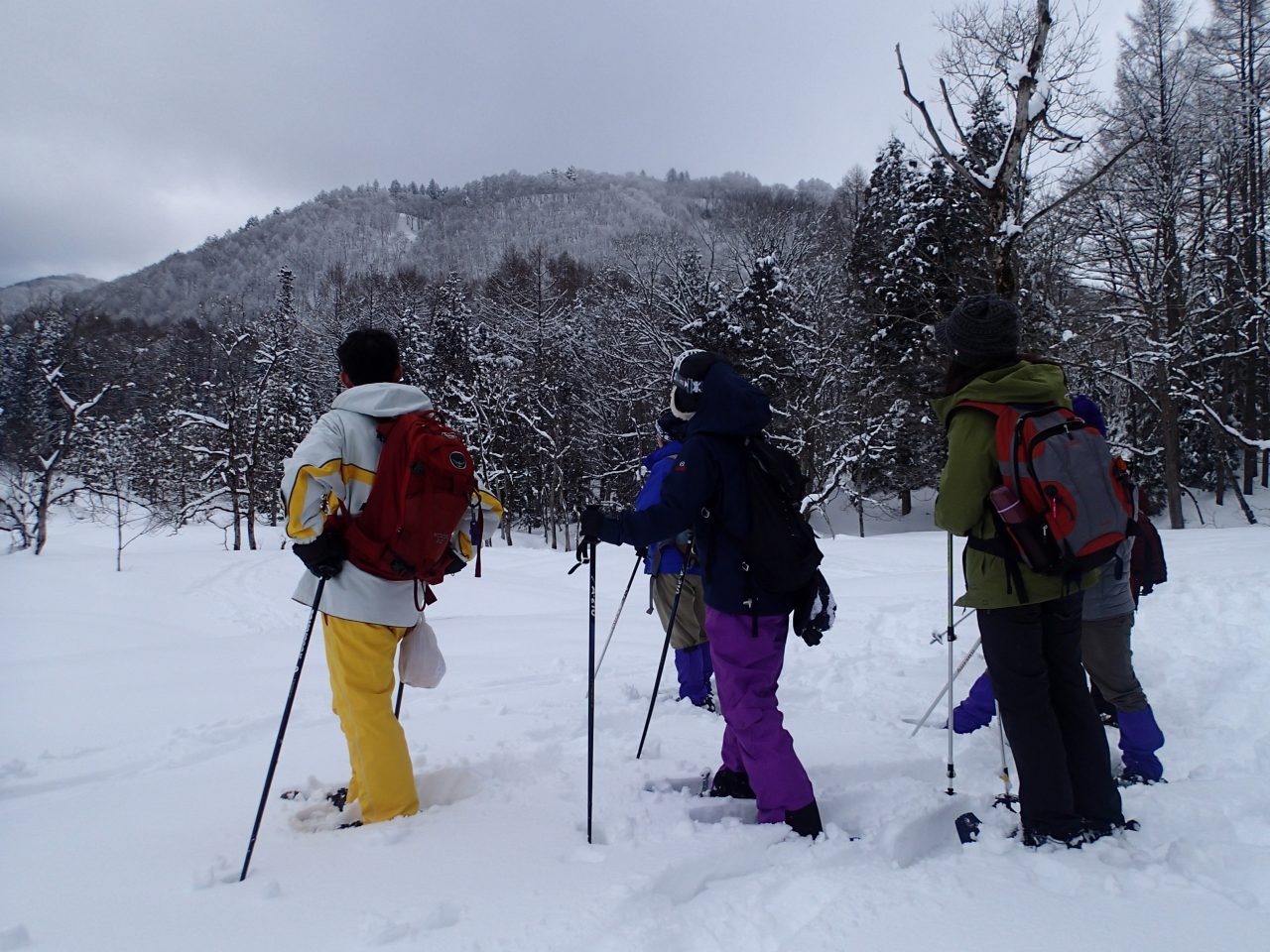 三ッ山へ行こう！